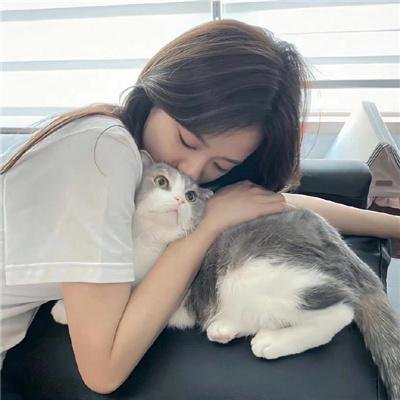 摩登衙门